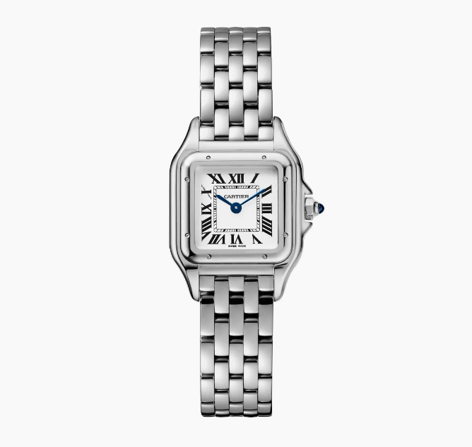 Cart Panth Mini Watch - 22mm