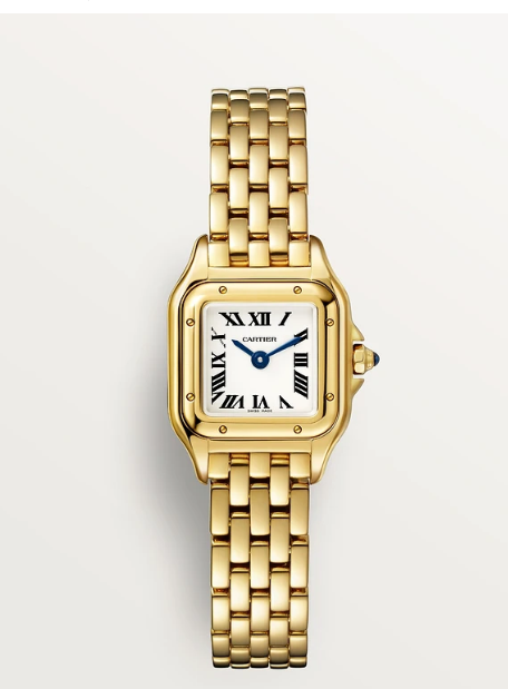 Cart Panth Mini Watch - 22mm