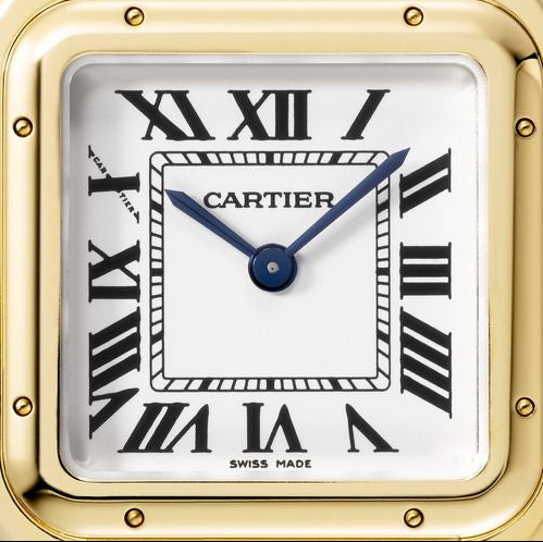 Cart Panth Medium Golden Watch - 29mm
