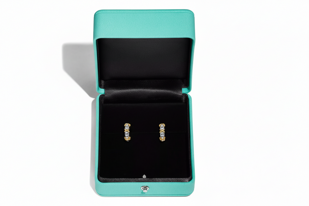 Earrings 16