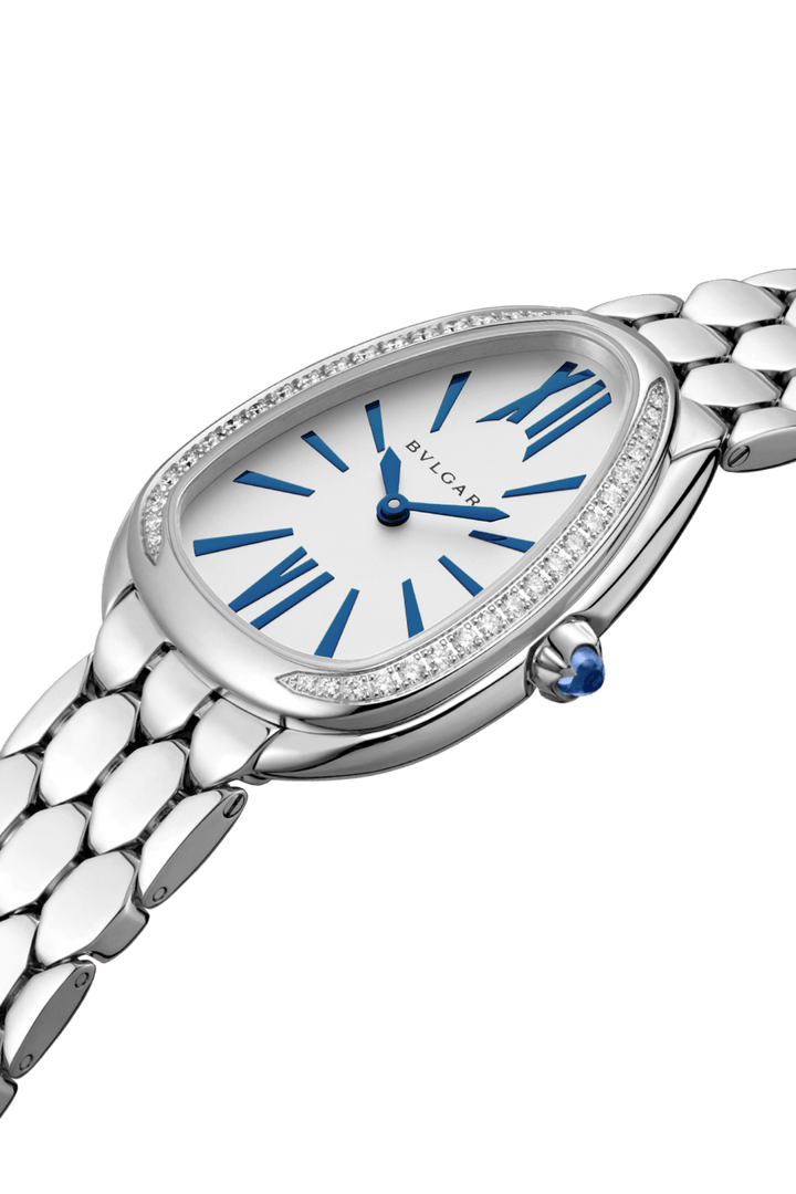 BV Blue Watch